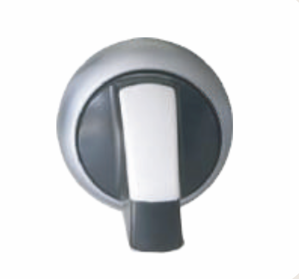 REVERSE BUTTON